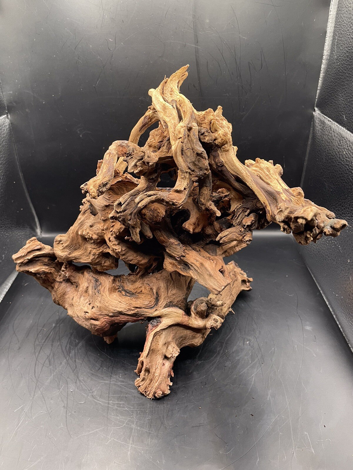 Aquarium Driftwood Wood Mix Natural Aquascape Design Unique - Serpents Spine