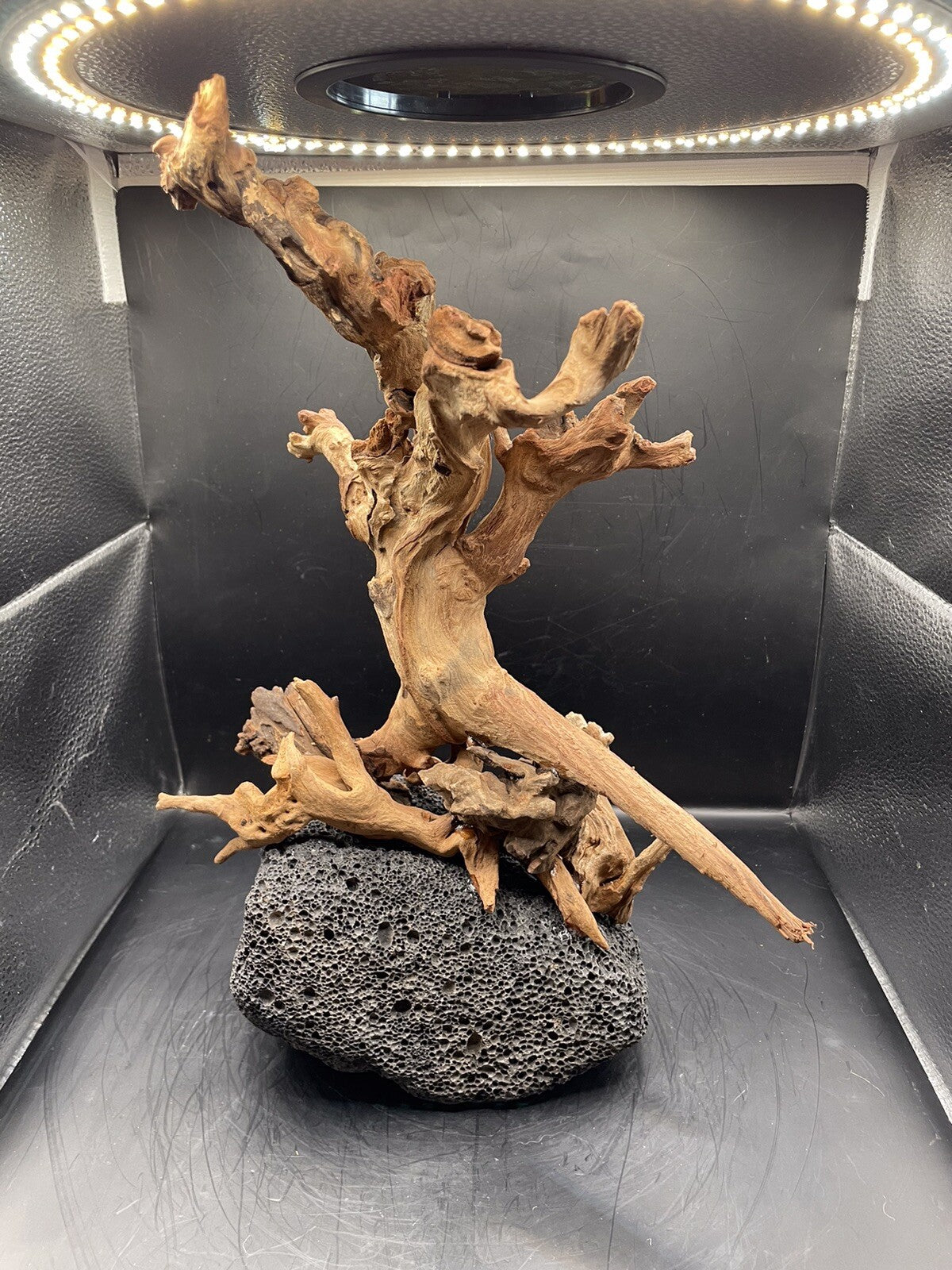 Aquarium Driftwood Wood Mix Natural Aquascape Unique Design - Fangspire Ascent