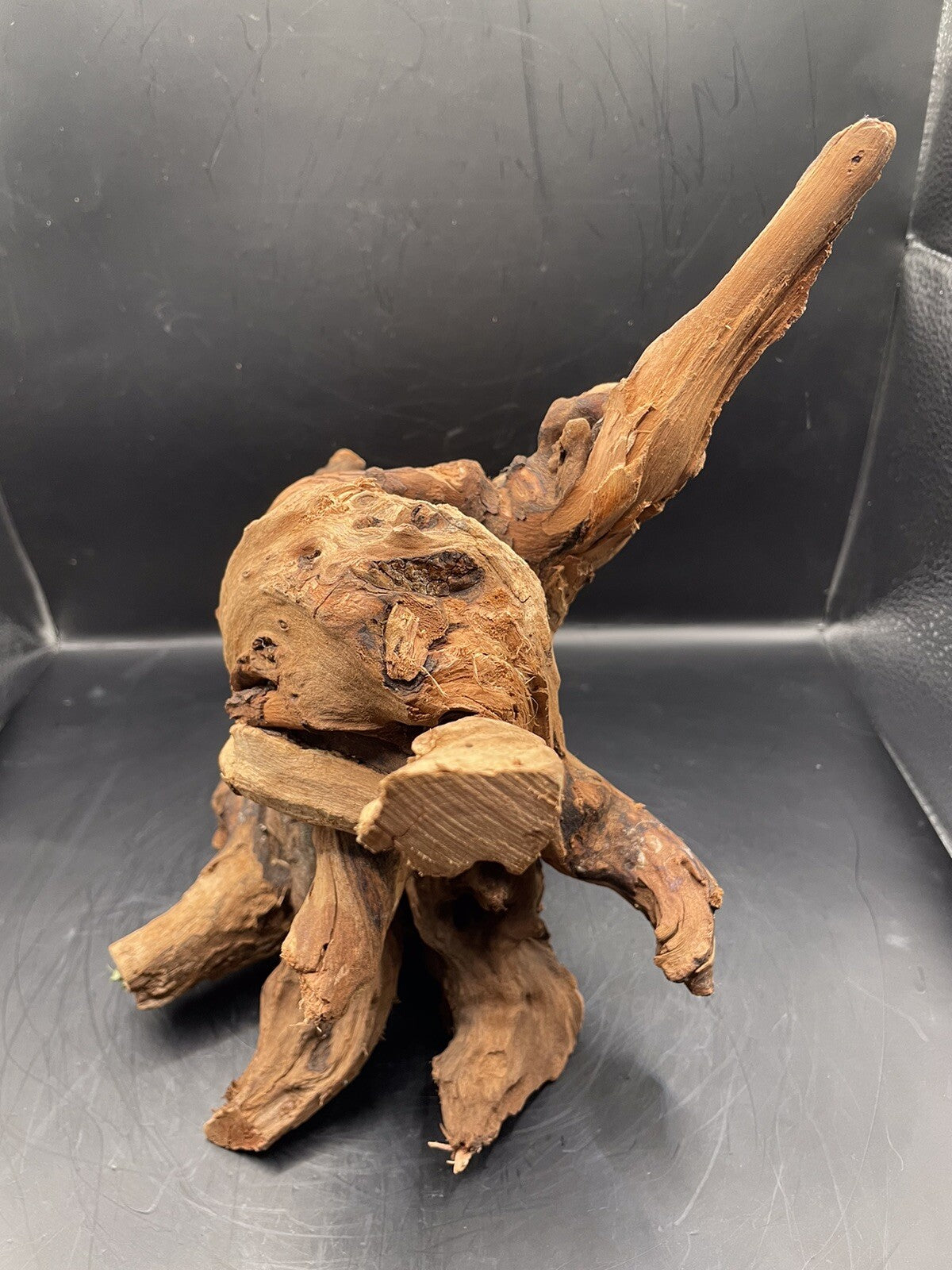 Aquarium Driftwood Wood Mix Natural Aquascape Design Unique - Krakens Claw