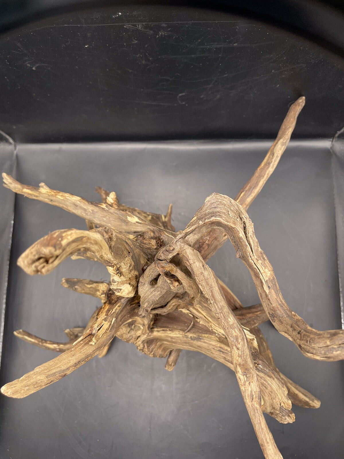 Aquarium Driftwood Wood Natural Aquascape Fish Tank - Spire Burst Root